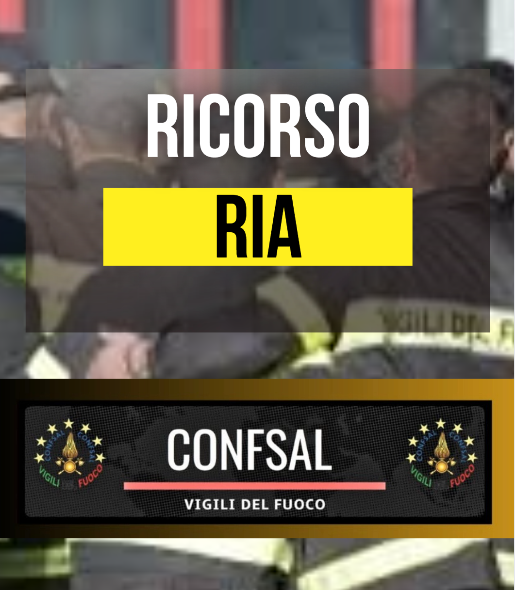 RICORSO RIA